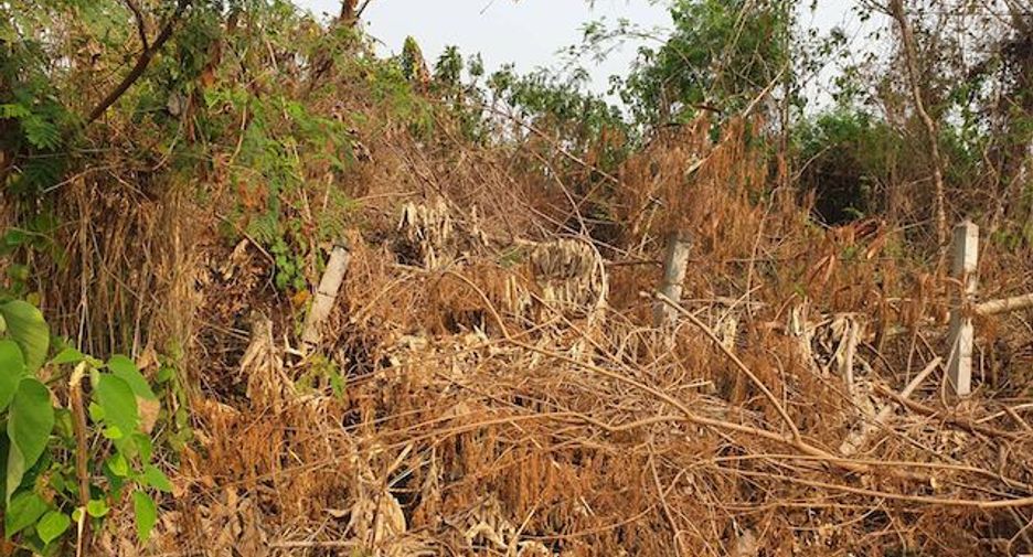 For sale land in Mae Sai, Chiang Rai