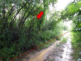 For sale land in Bueng Sam Phan, Phetchabun