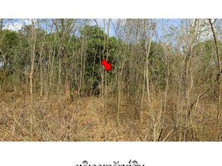 For sale land in Bueng Sam Phan, Phetchabun