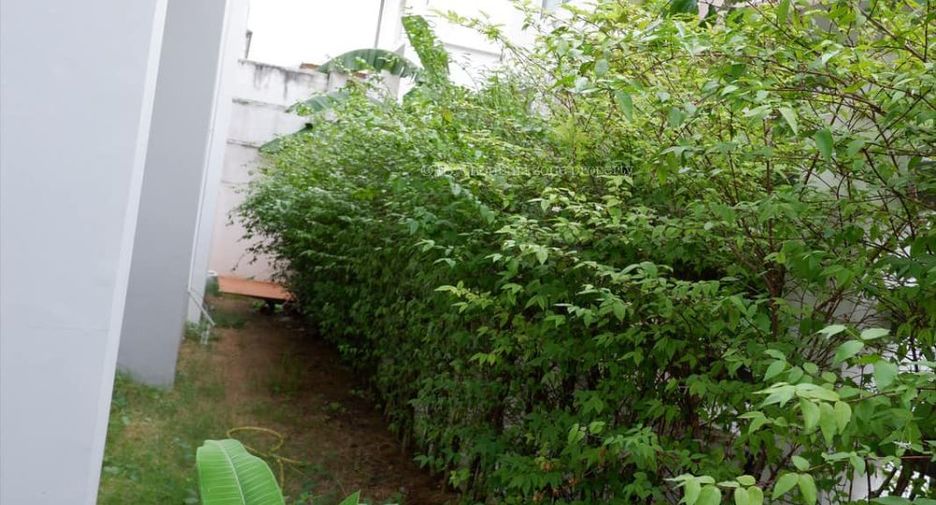 For rent 3 bedrooms house in Si Racha, Chonburi