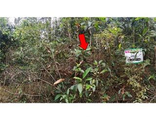 For sale land in Thawat Buri, Roi Et