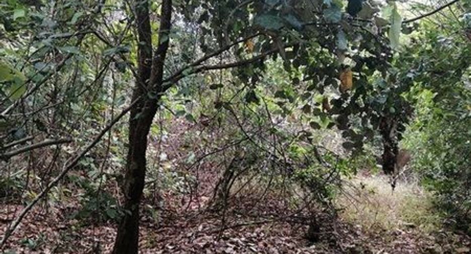 ขาย ที่ดิน ใน ธวัชบุรี, ร้อยเอ็ด
