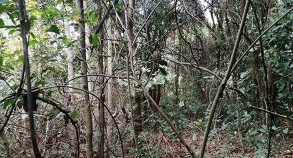 ขาย ที่ดิน ใน ธวัชบุรี, ร้อยเอ็ด