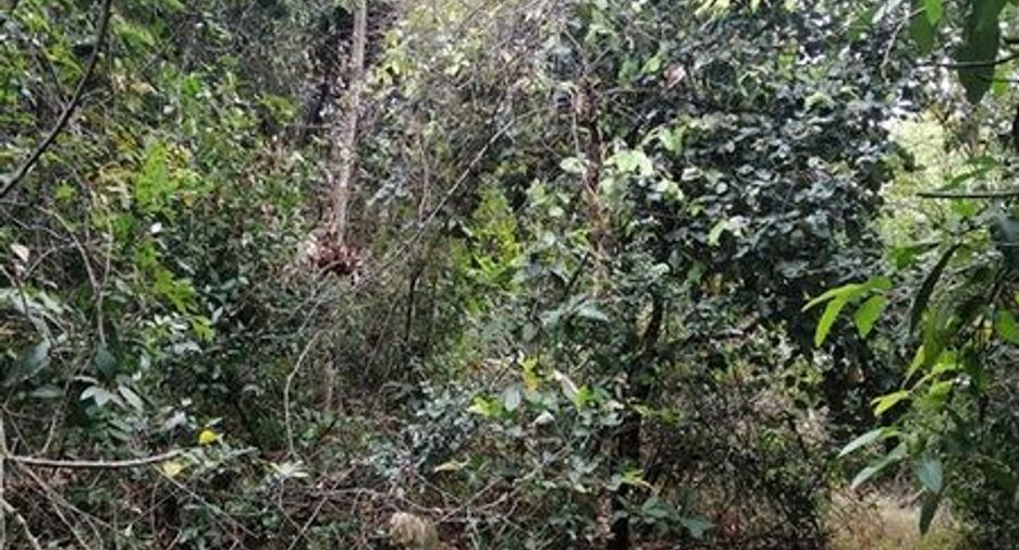 ขาย ที่ดิน ใน ธวัชบุรี, ร้อยเอ็ด