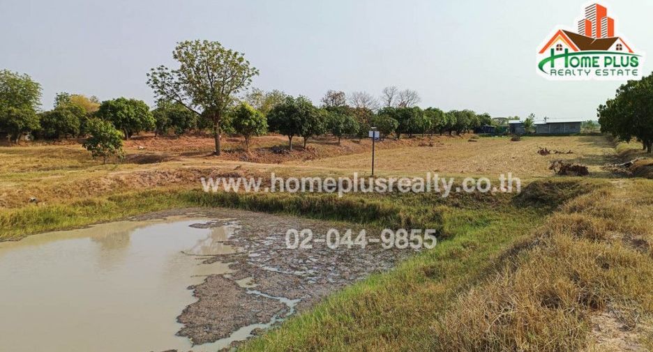 ขาย ที่ดิน ใน นาเชือก, มหาสารคาม