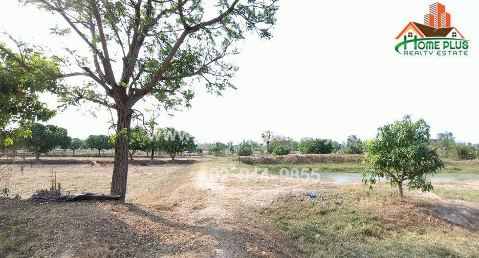 ขาย ที่ดิน ใน นาเชือก, มหาสารคาม