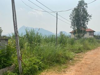 For sale land in Mae Sai, Chiang Rai