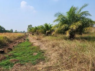 For sale land in Kabin Buri, Prachin Buri