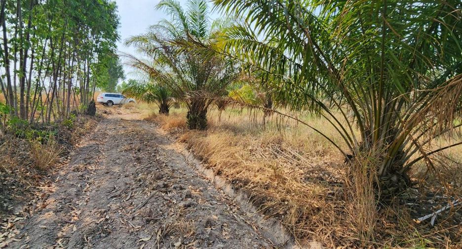 À vendre terrain à Kabin Buri, Prachin Buri