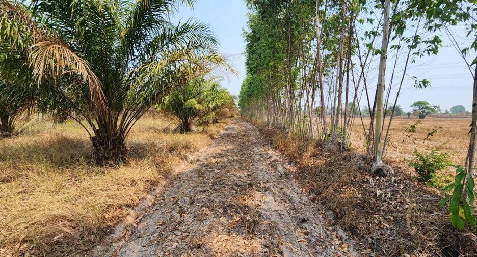 À vendre terrain à Kabin Buri, Prachin Buri