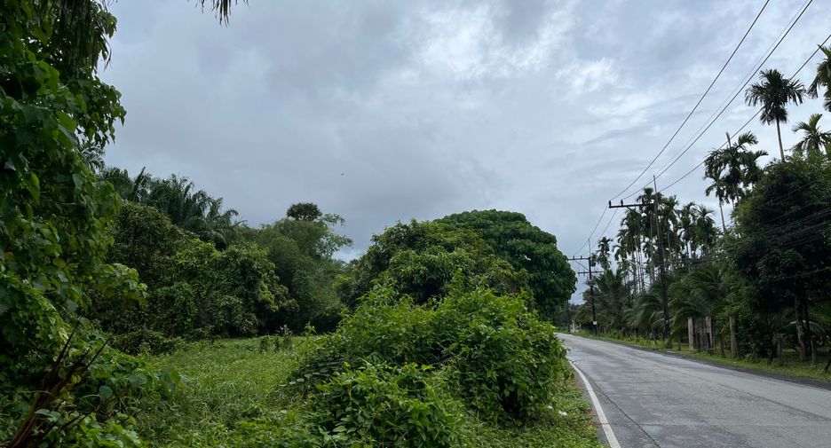 For sale land in Takua Thung, Phang Nga