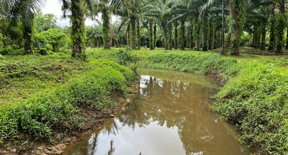 For sale land in Takua Thung, Phang Nga
