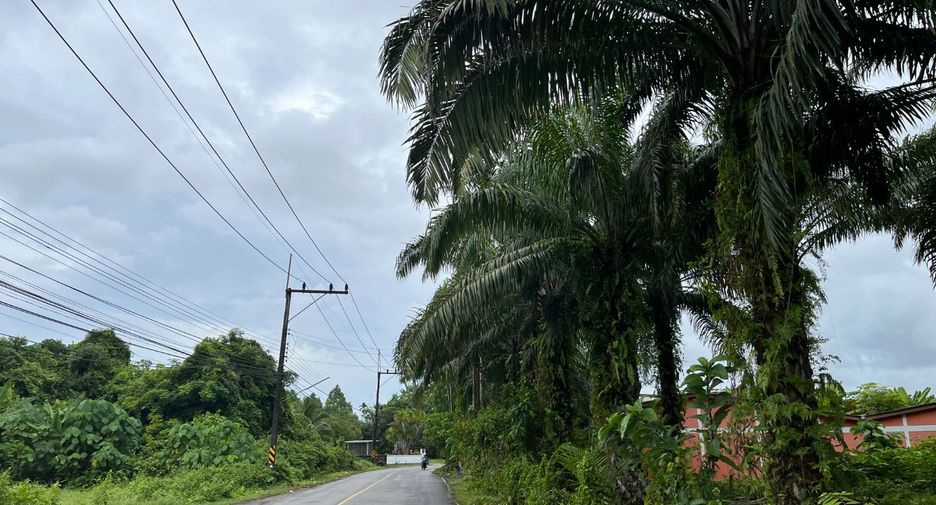 For sale land in Takua Thung, Phang Nga