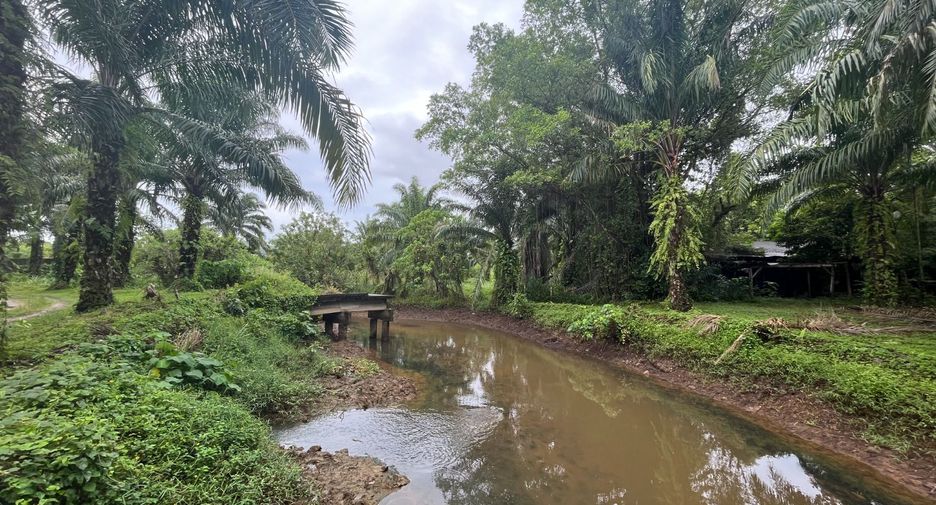 For sale land in Takua Thung, Phang Nga