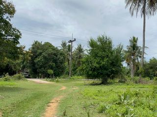ขาย ที่ดิน ใน เหนือคลอง, กระบี่