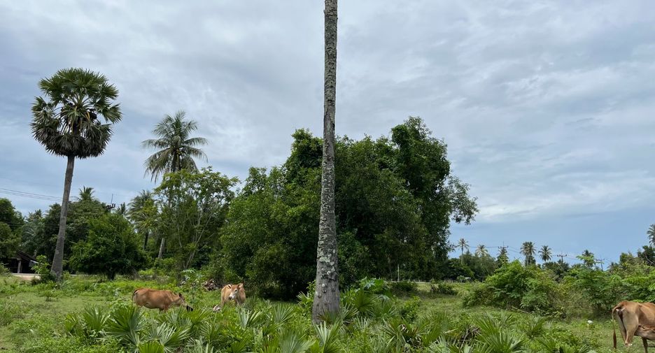 出售 土地 在 Nuea Khlong, Krabi