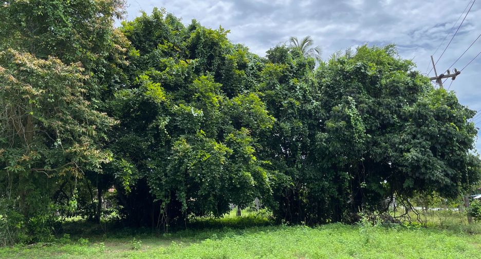 出售 土地 在 Nuea Khlong, Krabi