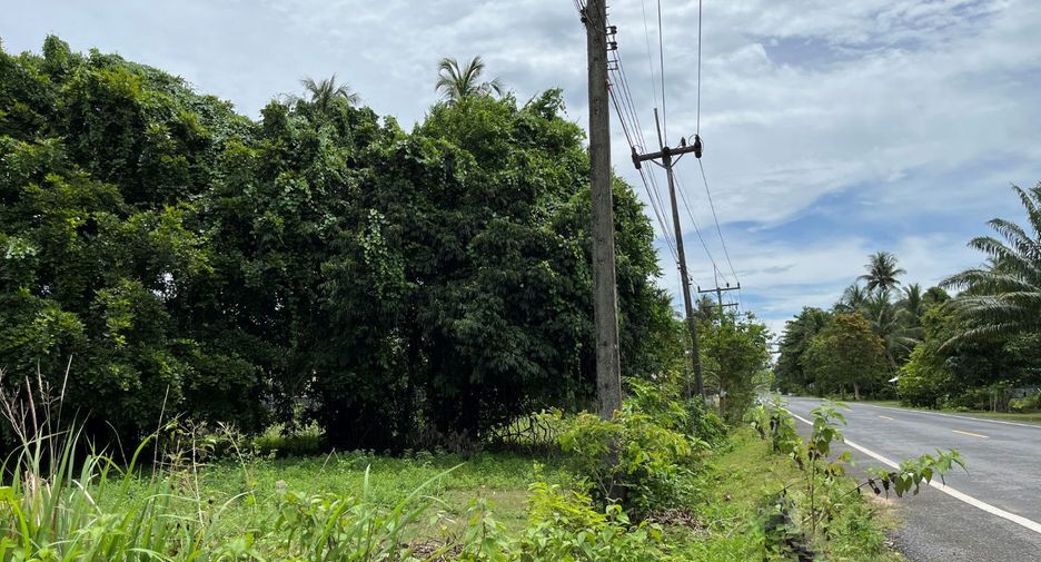 出售 土地 在 Nuea Khlong, Krabi