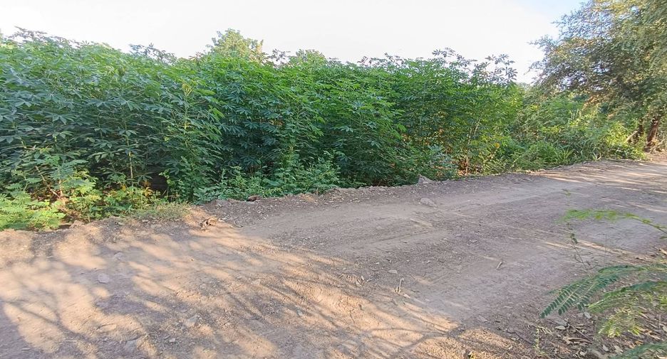 For sale land in Mueang Phetchabun, Phetchabun