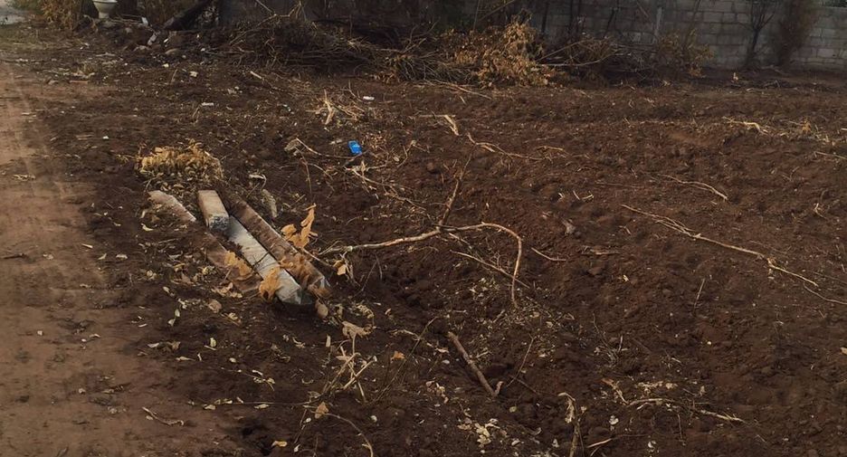 For sale land in Mueang Phetchabun, Phetchabun