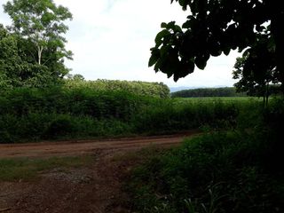 For sale land in Chiang Khong, Chiang Rai