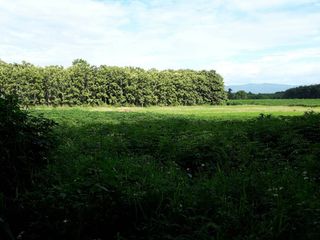 For sale land in Chiang Khong, Chiang Rai