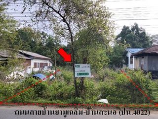 出售 土地 在 Yaring, Pattani