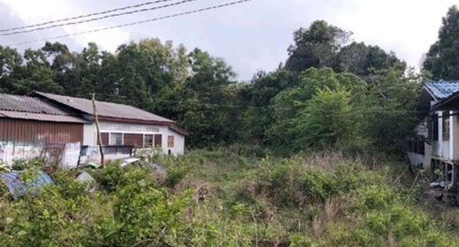 For sale land in Yaring, Pattani