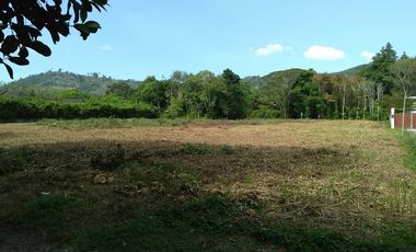 Terreno en venta en Thalang, Phuket