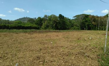 Terreno en venta en Thalang, Phuket