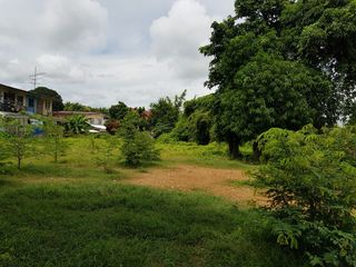 For rent and for sale land in Mueang Uttaradit, Uttaradit