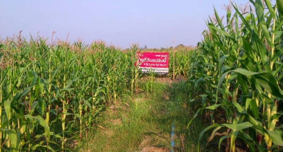 For sale land in Laplae, Uttaradit