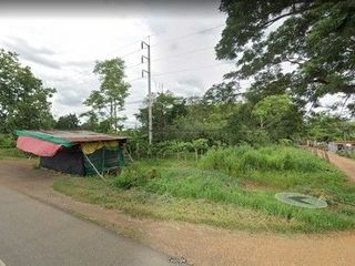 For sale land in Nong Phai, Phetchabun