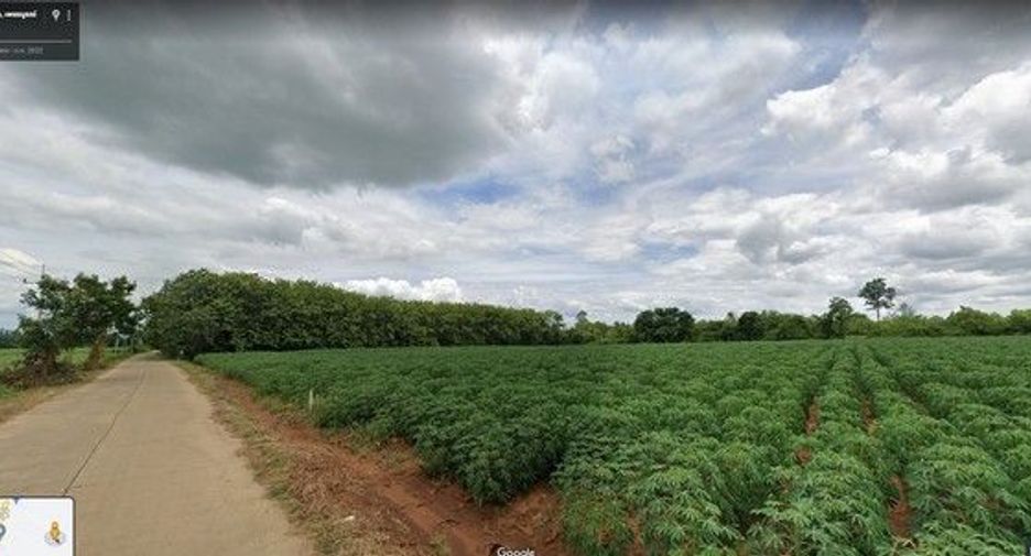 For sale land in Nong Phai, Phetchabun