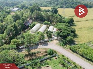 For sale land in Wiang Chai, Chiang Rai