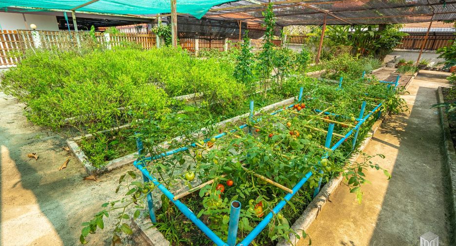 À vendre 3 chambres villa à San Kamphaeng, Chiang Mai