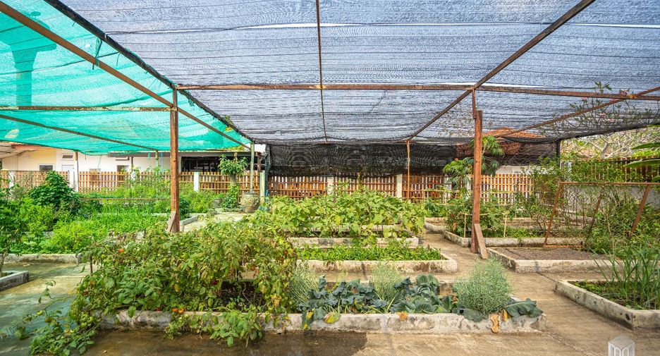 À vendre 3 chambres villa à San Kamphaeng, Chiang Mai