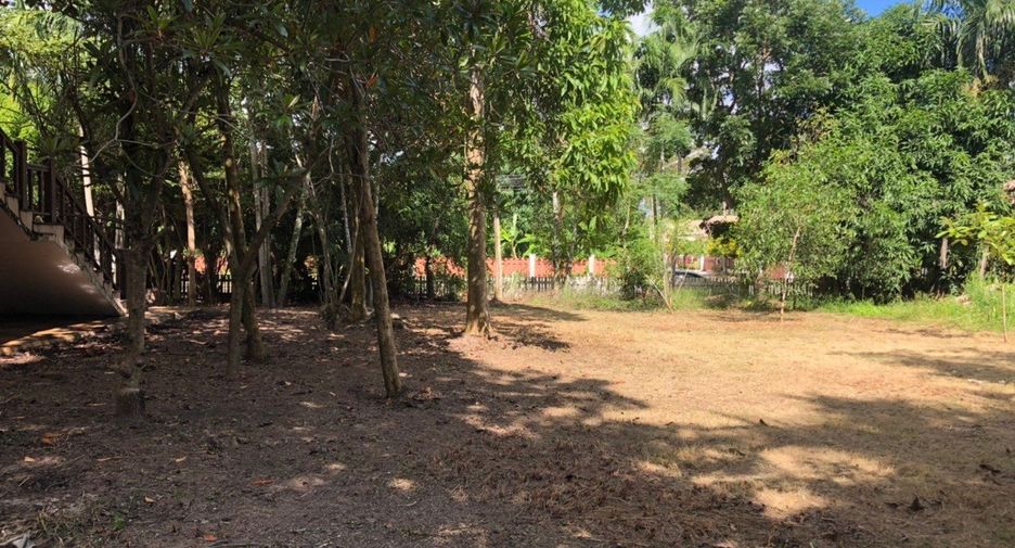 For sale 4 bedrooms office in Ban Khai, Rayong