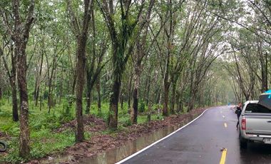 For sale land in Mueang Phatthalung, Phatthalung