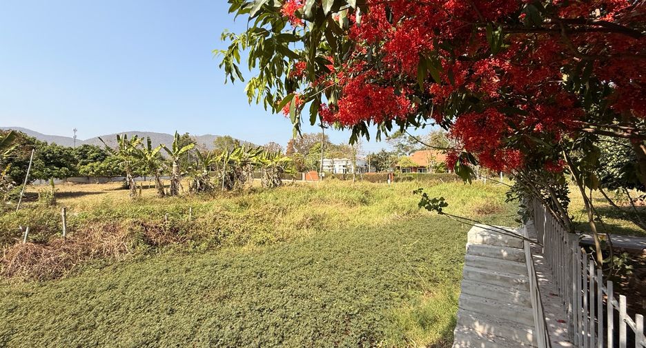 Grundstück zum Kauf in San Kamphaeng, Chiang Mai