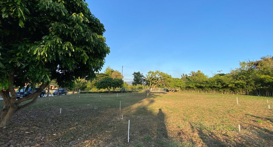 Grundstück zum Kauf in San Kamphaeng, Chiang Mai