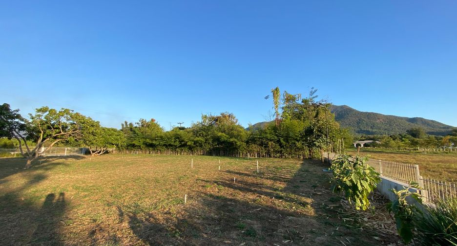 Grundstück zum Kauf in San Kamphaeng, Chiang Mai