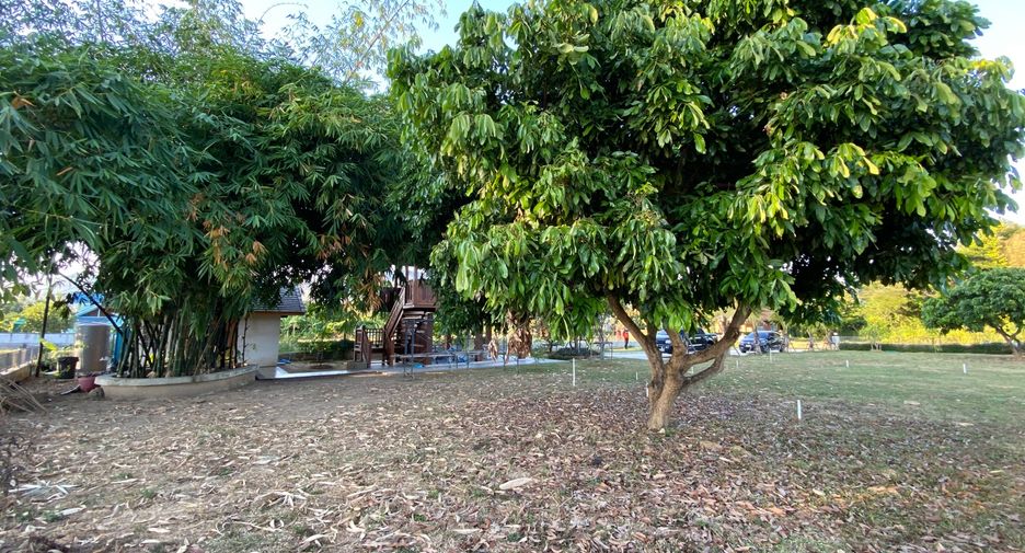 Grundstück zum Kauf in San Kamphaeng, Chiang Mai