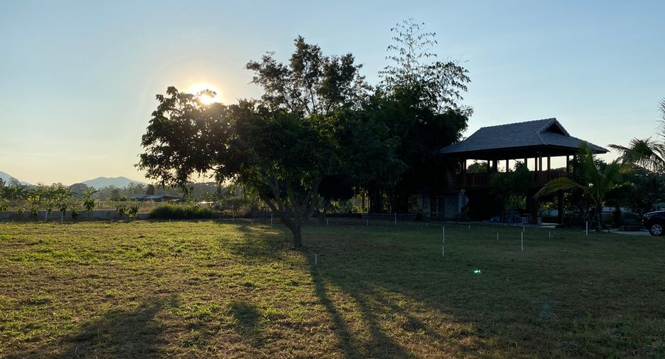 Grundstück zum Kauf in San Kamphaeng, Chiang Mai