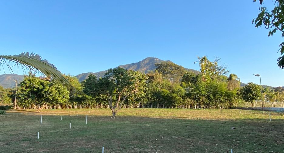 Grundstück zum Kauf in San Kamphaeng, Chiang Mai