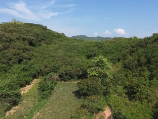 出售 土地 在 Nikhom Phatthana, Rayong