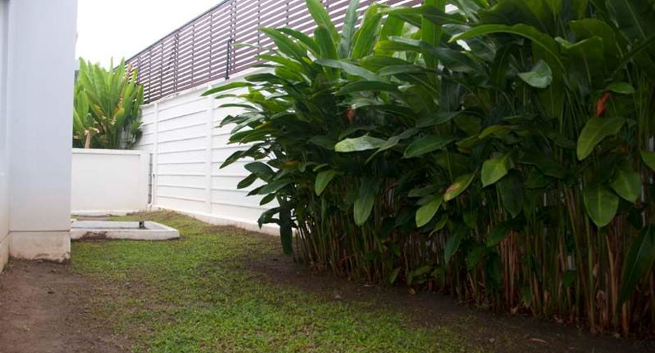 For rent 3 bedrooms house in Mueang Chiang Mai, Chiang Mai