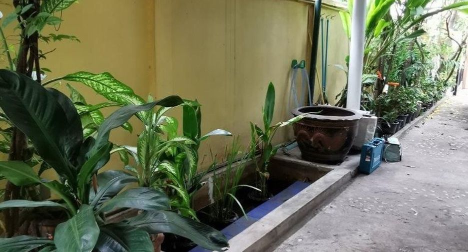 For rent 3 bedrooms house in Phaya Thai, Bangkok