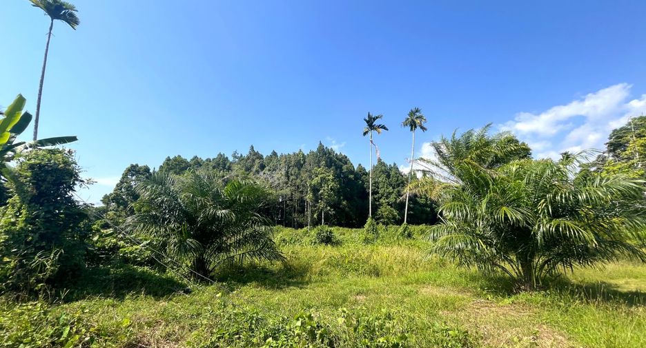 Grundstück zum Kauf in Thai Mueang, Phang Nga