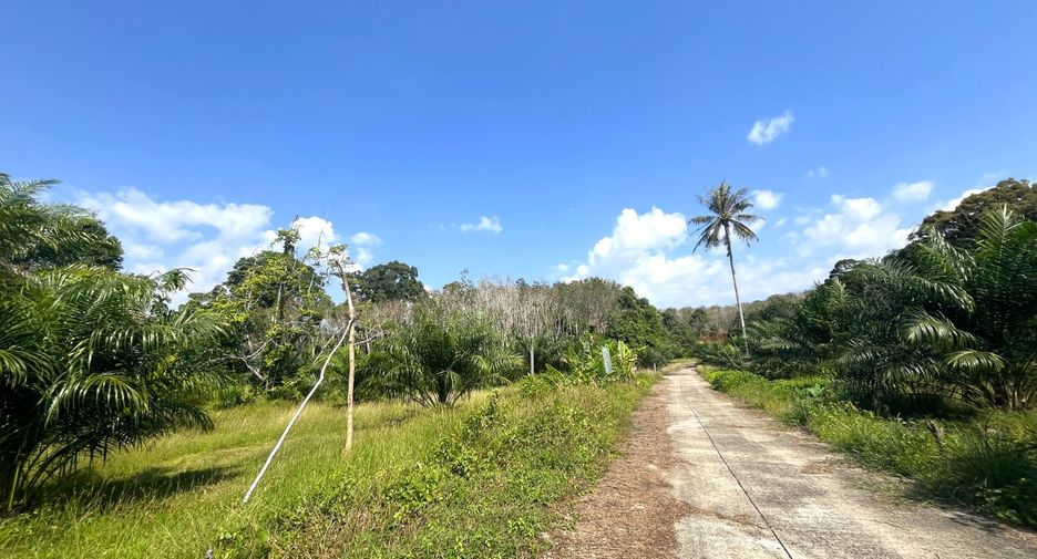 Grundstück zum Kauf in Thai Mueang, Phang Nga